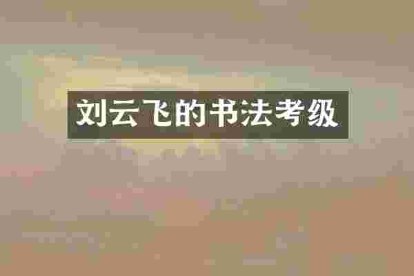 刘云飞的书法考级