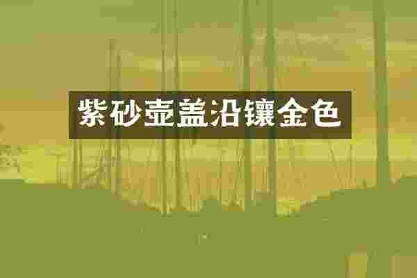 紫砂壶盖沿镶金色
