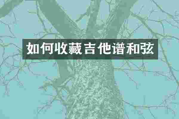 如何收藏吉他谱和弦