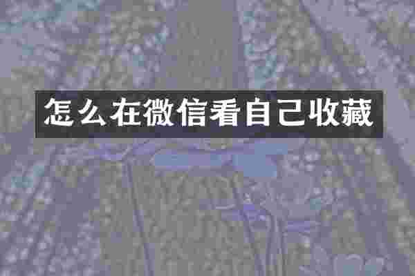 怎么在微信看自己收藏