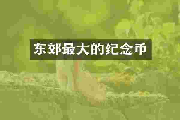 东郊最大的纪念币