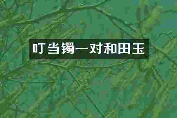 叮当镯一对和田玉