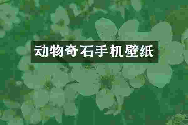 动物奇石手机壁纸