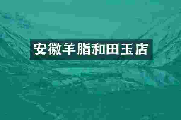 安徽羊脂和田玉店