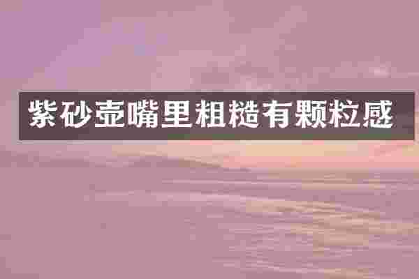 紫砂壶嘴里粗糙有颗粒感
