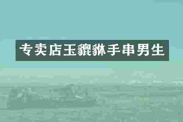 专卖店玉貔貅手串男生