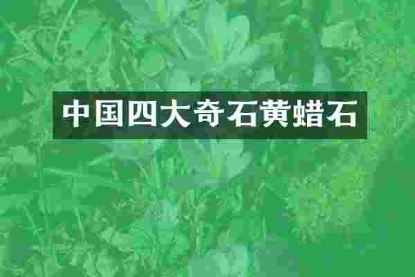 中国四大奇石黄蜡石