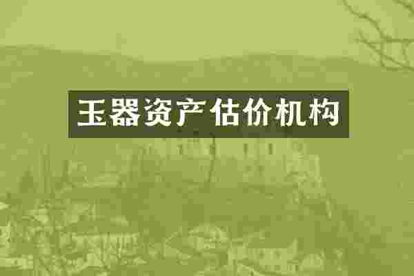 玉器资产估价机构