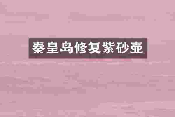 秦皇岛修复紫砂壶