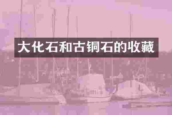 大化石和古铜石的收藏
