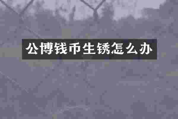 公博钱币生锈怎么办