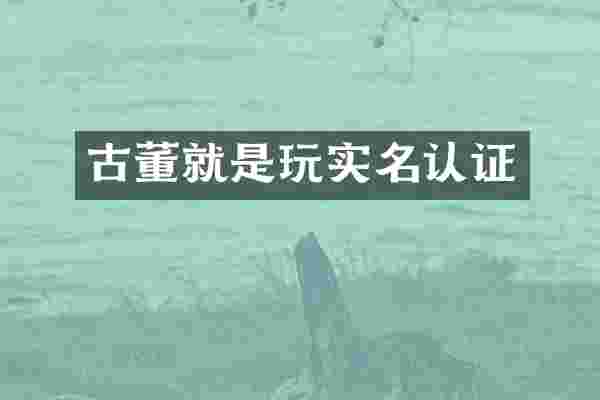 古董就是玩实名认证