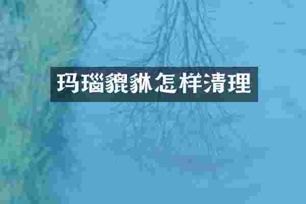 玛瑙貔貅怎样清理