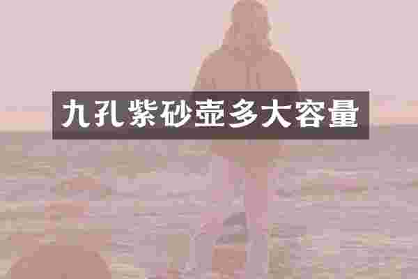 九孔紫砂壶多大容量