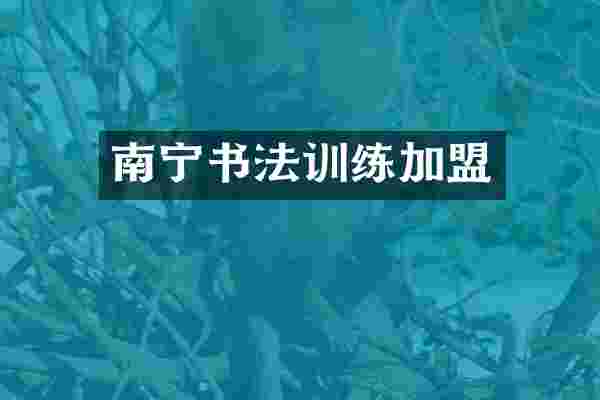 南宁书法训练加盟