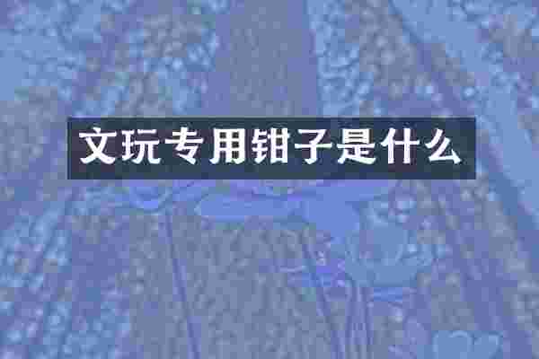 文玩专用钳子是什么