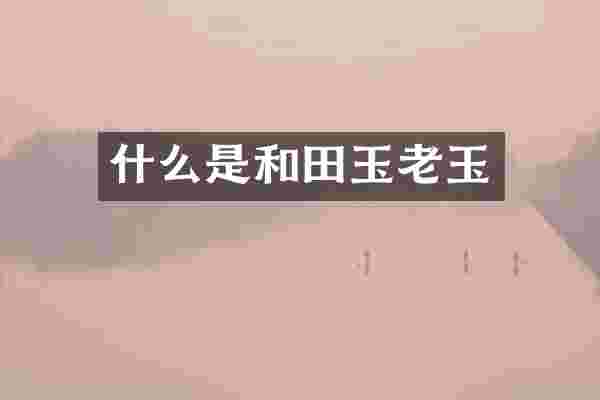 什么是和田玉老玉