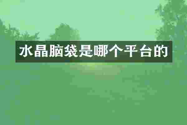 水晶脑袋是哪个平台的