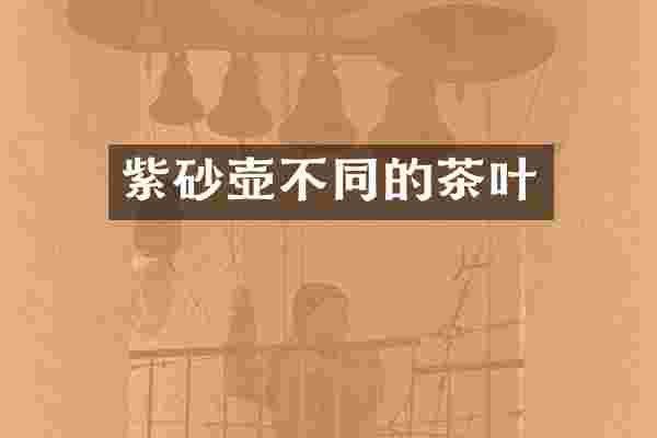 紫砂壶不同的茶叶