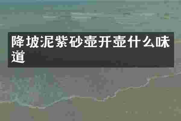 降坡泥紫砂壶开壶什么味道