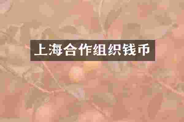 上海合作组织钱币