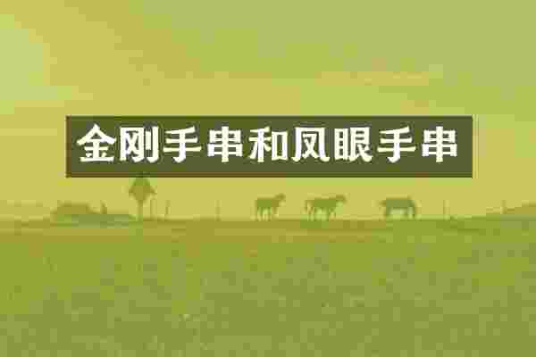 金刚手串和凤眼手串