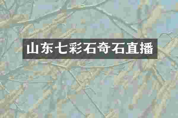 山东七彩石奇石直播