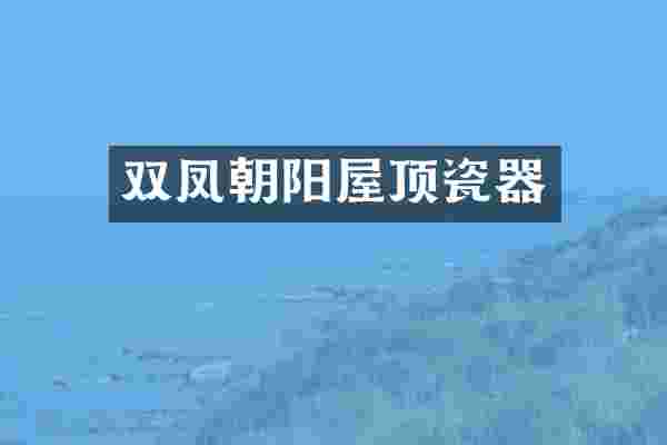 双凤朝阳屋顶瓷器
