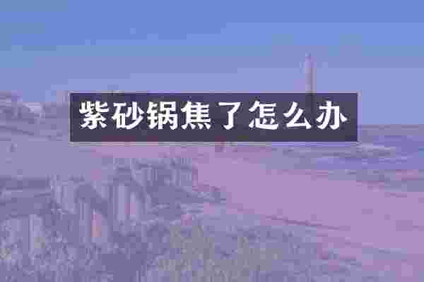 紫砂锅焦了怎么办