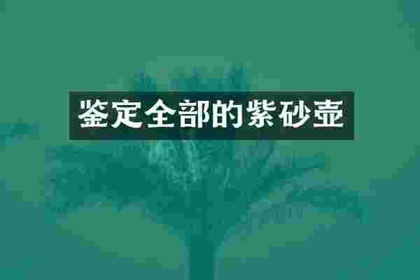 鉴定全部的紫砂壶