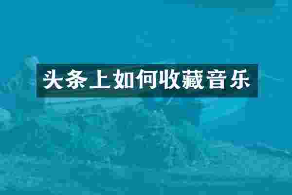 头条上如何收藏音乐