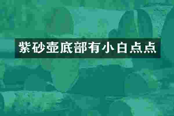 紫砂壶底部有小白点点