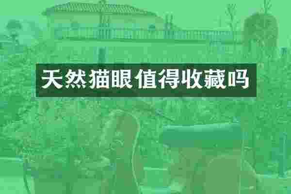 天然猫眼值得收藏吗