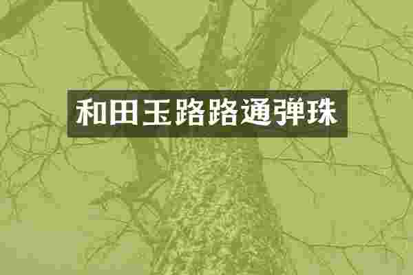 和田玉路路通弹珠