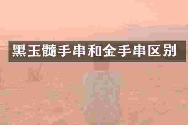 黑玉髓手串和金手串区别