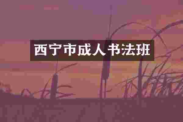西宁市成人书法班