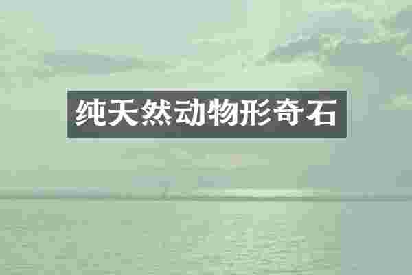 纯天然动物形奇石