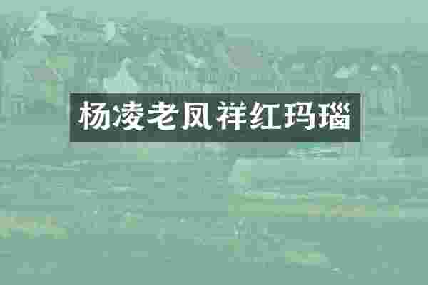 杨凌老凤祥红玛瑙