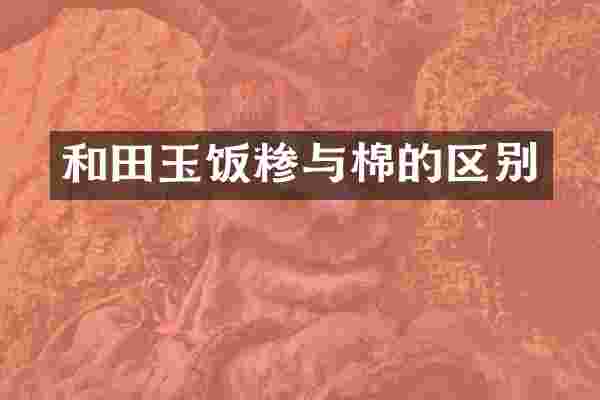 和田玉饭糁与棉的区别