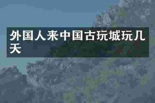 外国人来中国古玩城玩几天