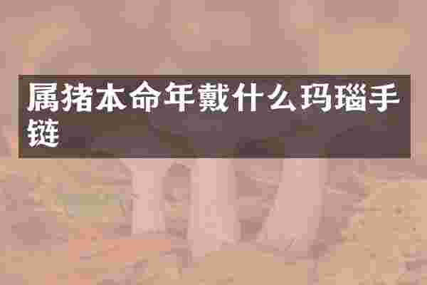 属猪本命年戴什么玛瑙手链