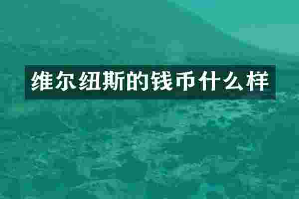 维尔纽斯的钱币什么样