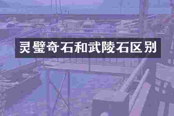 灵璧奇石和武陵石区别