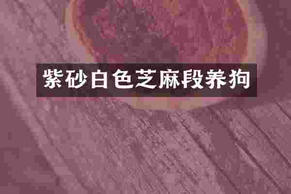 紫砂白色芝麻段