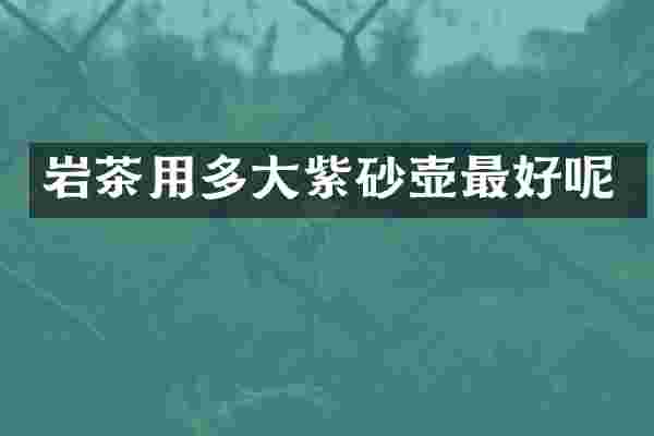 岩茶用多大紫砂壶最好呢