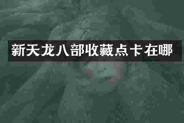 新天龙八部收藏点卡在哪