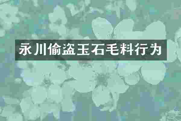 永川偷盗玉石毛料行为
