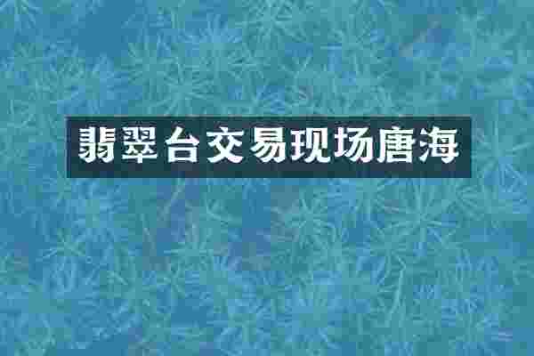 翡翠台交易现场唐海