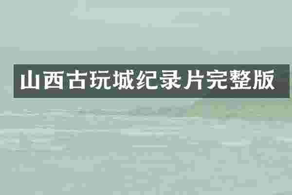 山西古玩城纪录片完整版