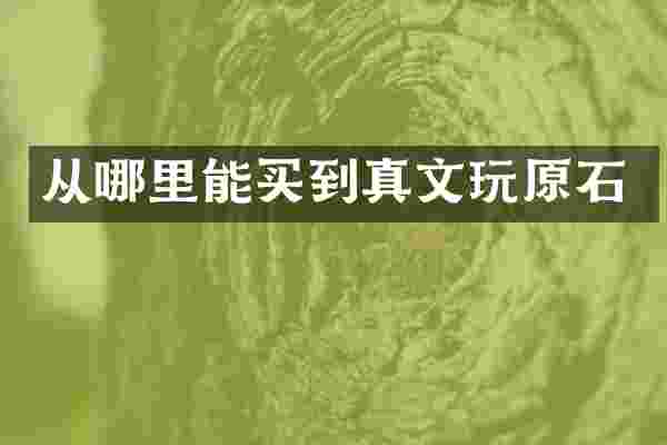 从真文玩原石